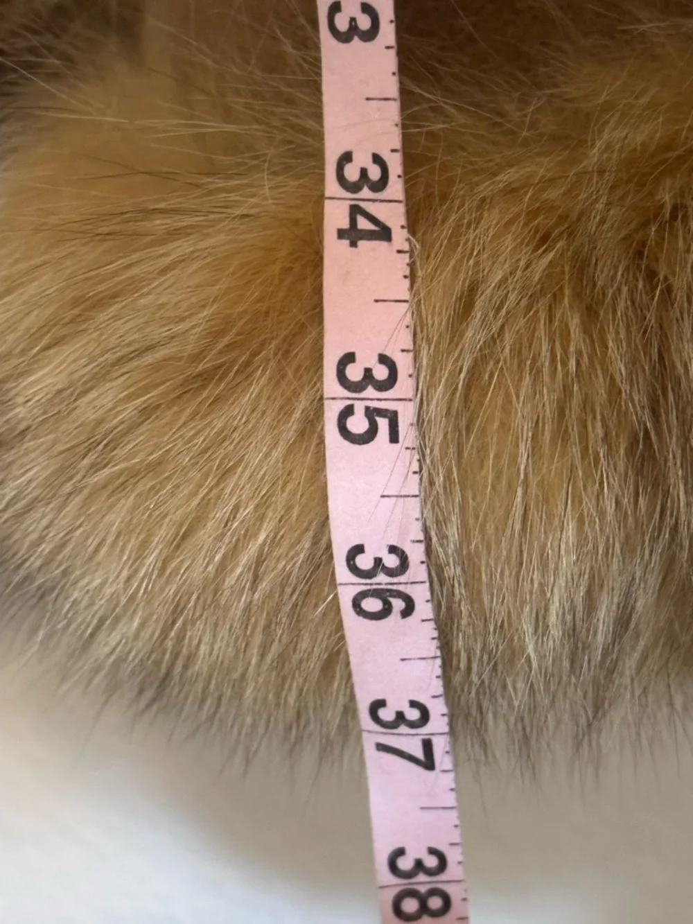 Lux Cashmere Fox Fur Trimmed Wrap Cape in Neutral Camel Italian Made FLAWS - Picture 6 of 10